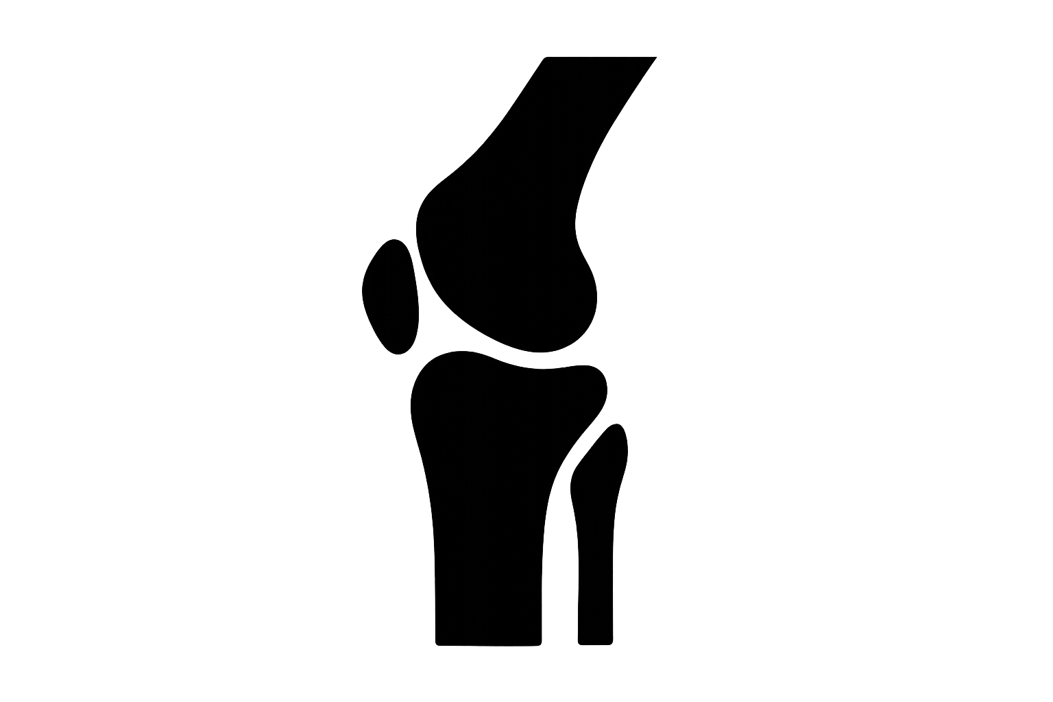 Knee Joint Icon