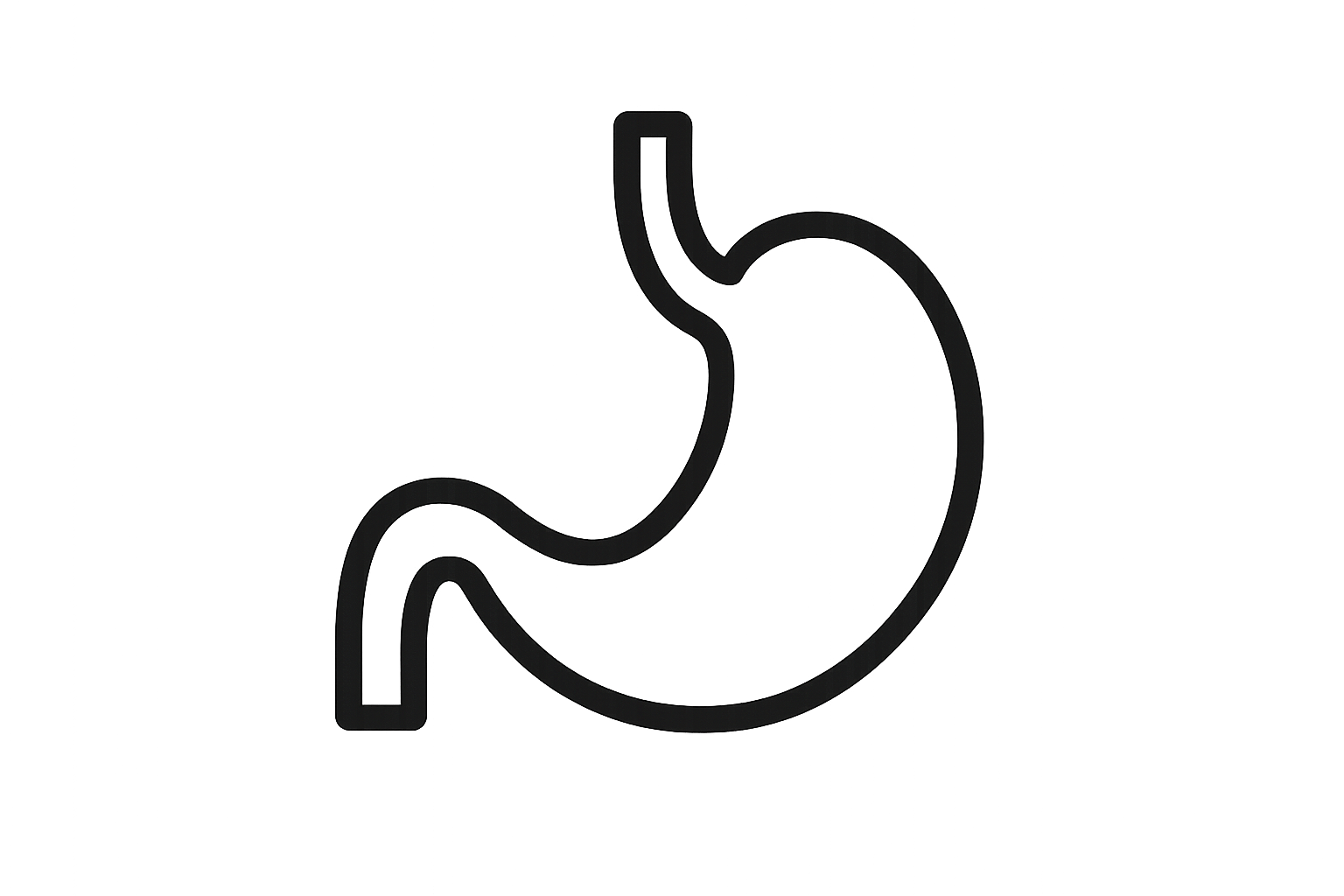 Transparent stomach icon for healthy digestion